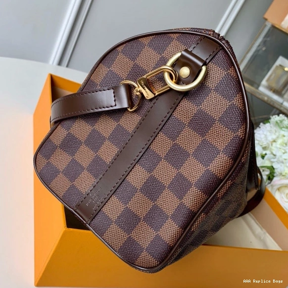 Aaa replica bags BANDOULIERE Louis 25 Vuitton SPEEDY 0824